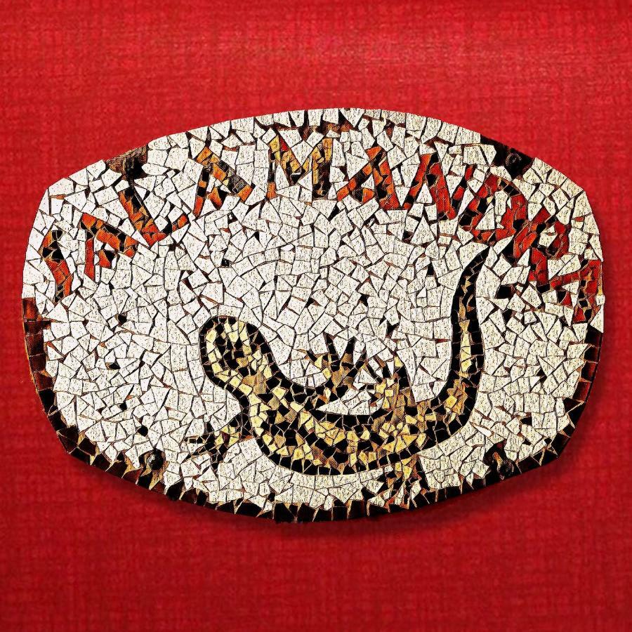 Inn Salamandra